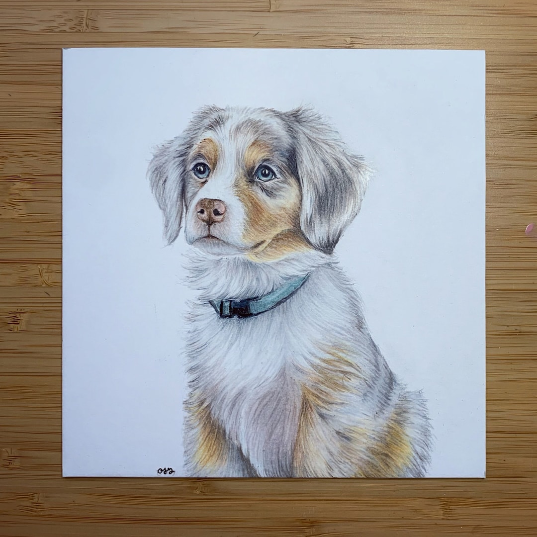 アイドル [MINYYUNY] Precious Lettering PET Color 6x6 Inch Pet Portrait- Pencil Crayon - Etsy