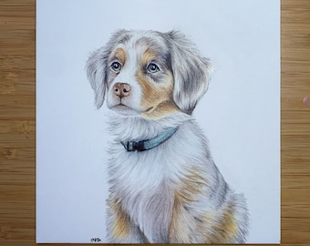 6 x 6 po. Portrait d'animal de compagnie - Crayon de couleur