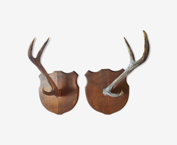 Ancien Massacre Trophée Paire de Bois Cerf sur Écus en Chasse Français Vintage
