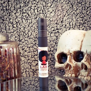 Protection, Body Spray, Unisex Scent, Travel-Friendly, 10ml, Energetically Charged Crystals, Hand-Crushed Herbs, 8-hour Lasting, Hoodoo, Reiki, Shamanism, Aura Cleanse, Hotel Protection,  Discreet, Water-Based, LAB Shaman, energetic protection