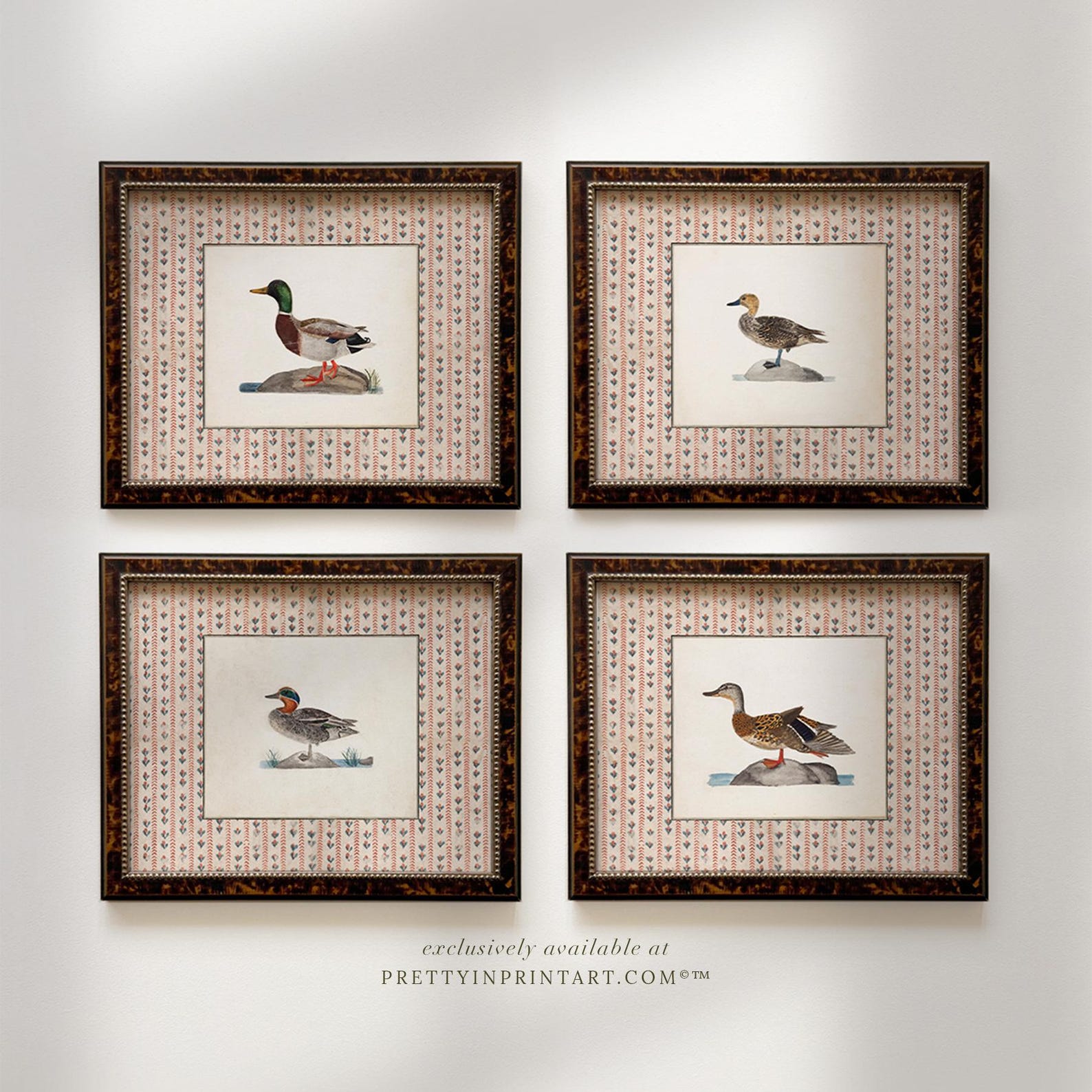 Vintage Art Prints; Ducks | Unframed - 10x8 inch UNFRAMED, Duck 2