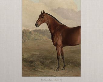 Vintage Horse Art | Unframed