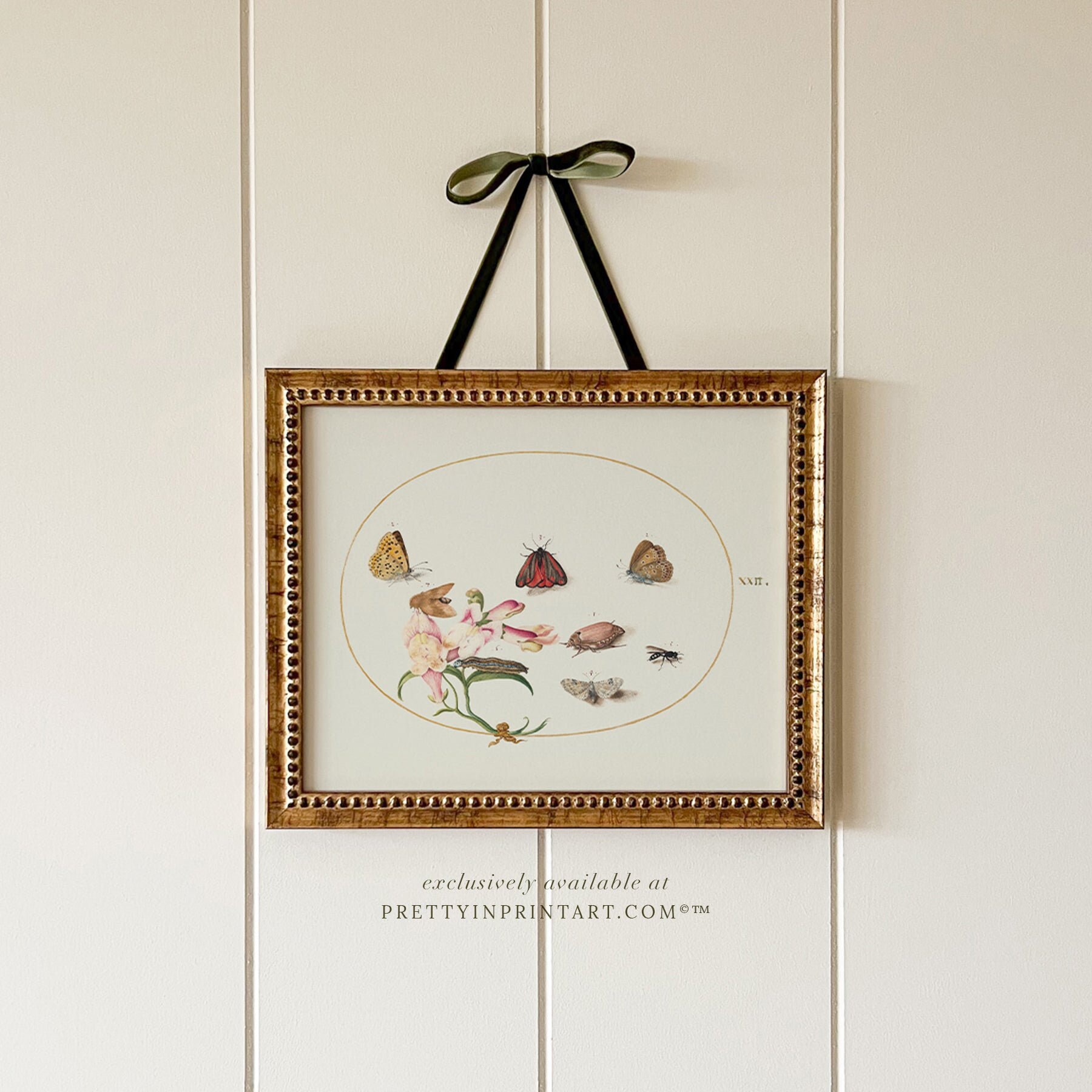Butterfly & Moth Framed Art 001 (GOLD-0160)