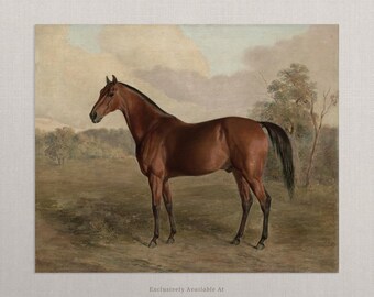 Vintage Horse Art | Unframed