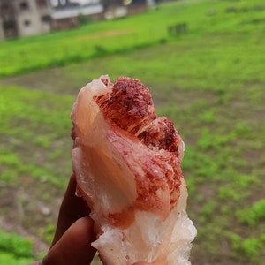 Natural Red Stilbite Mineral Specimen: Maharashtra India Crystal