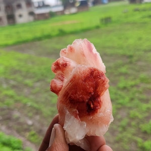 Natural Red Stilbite Mineral Specimen: Maharashtra India