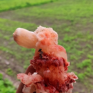 Natural Red Stilbite Mineral Specimen: Maharashtra India