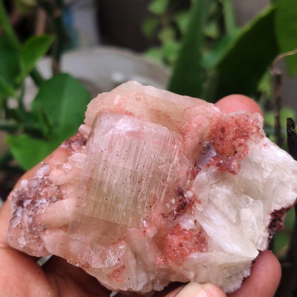 Natural BEAUTIFUL pink apophyllite  Minerals specimens