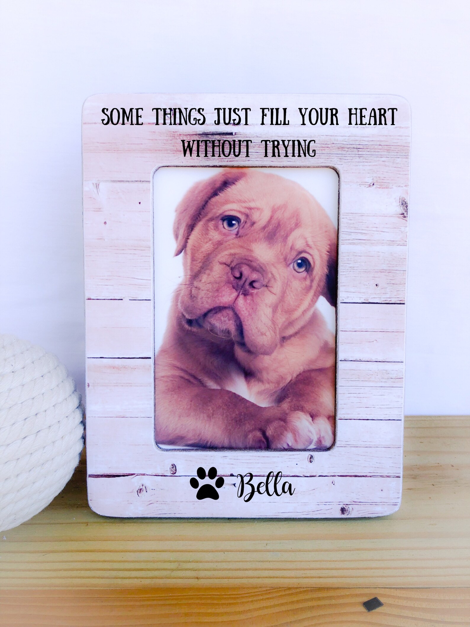 Pet Frame. Dog Frame. Pet Lover Gift. Cat Frame. Pet Adoption Etsy
