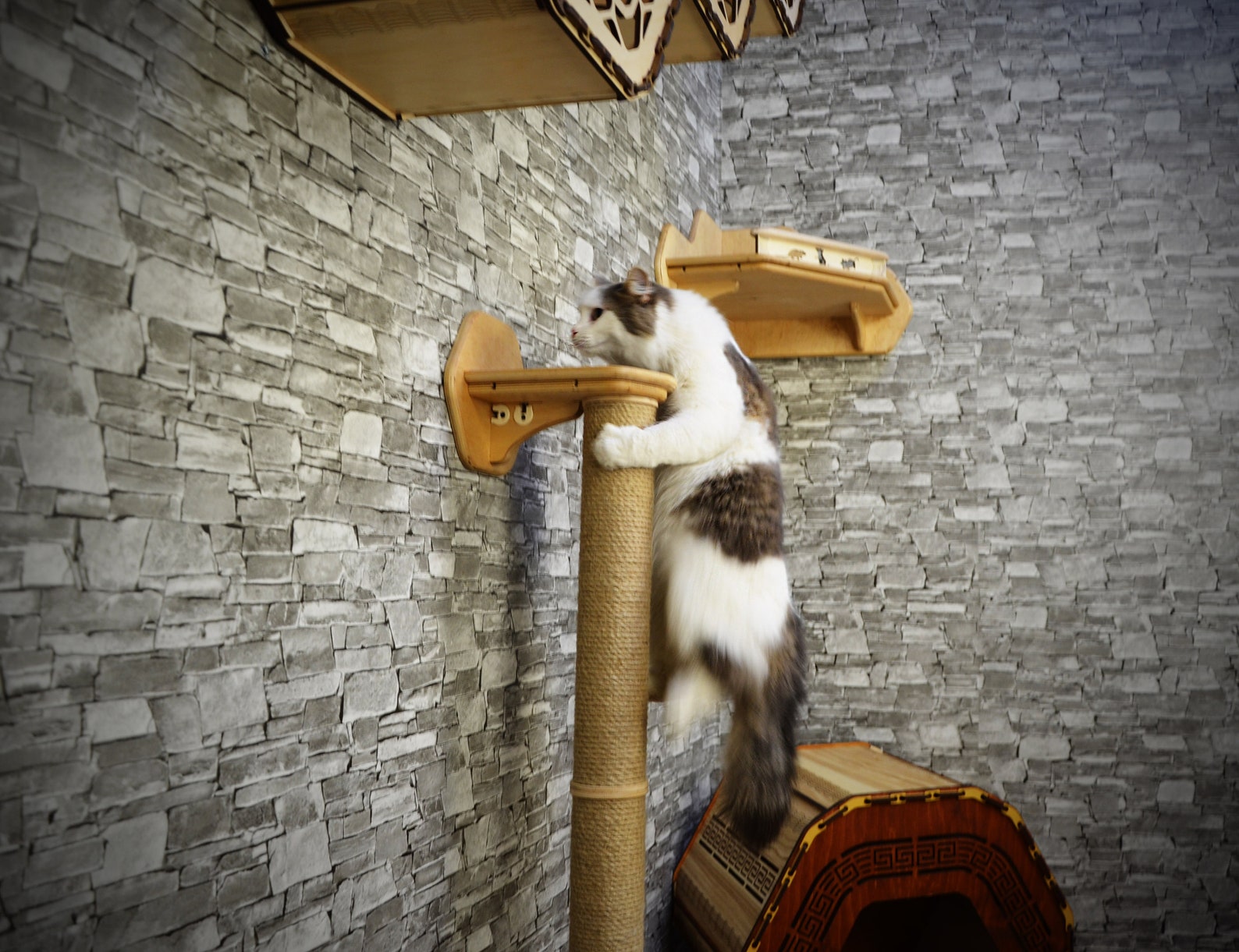 Wall Shelf. Cat play furniture. Cat wall furniture. Play wall Etsy