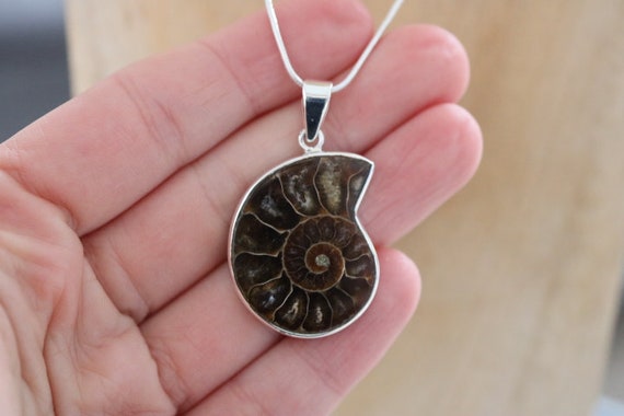 Ammonite Fossil Pendant