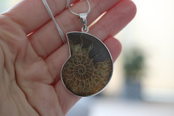 Ammonite Fossil Pendant