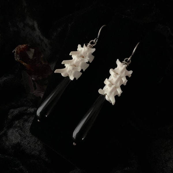 Snake vertebrae and onyx