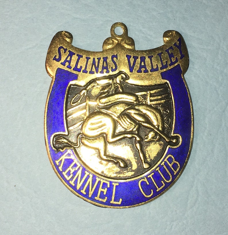Award Medal ?? Medallion,2.in x 1.5in Near Mint Condition#BCE-96 Salinas Kennel Club ,Enamel Dog Show Salinas, California