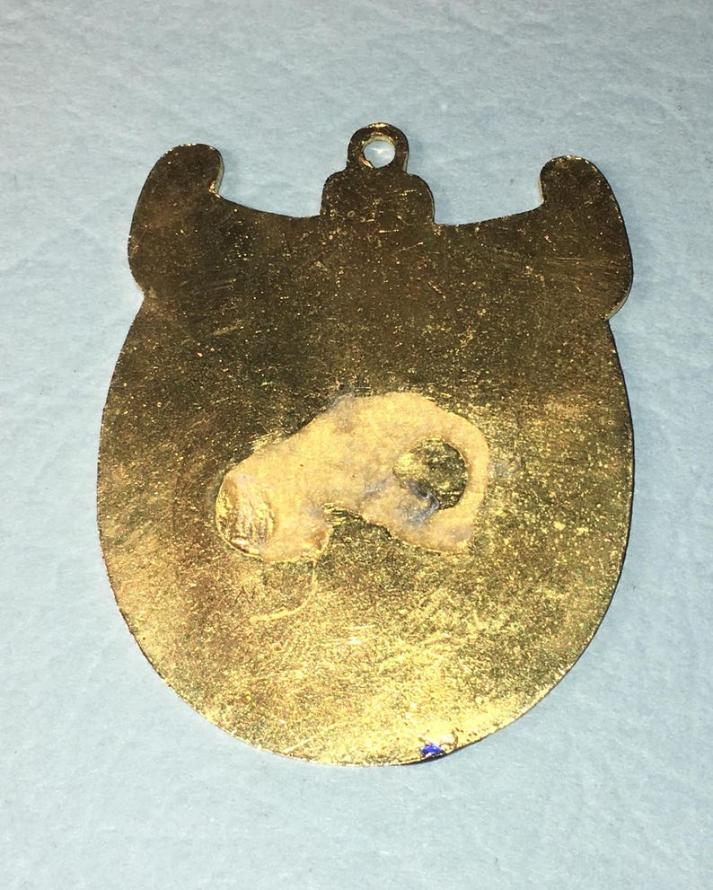 Award Medal ?? Medallion,2.in x 1.5in Near Mint Condition#BCE-96 Salinas Kennel Club ,Enamel Dog Show Salinas, California