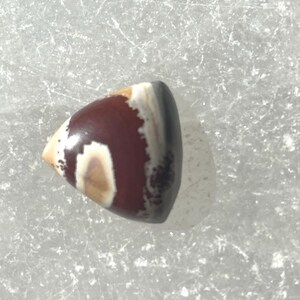 Sonoran Dendritic Rhyolite Shield cab