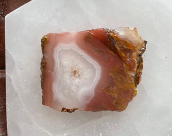 Lastra di agata Agua Nueva / Agata rosa fortificata / Pietra lapidaria da collezione