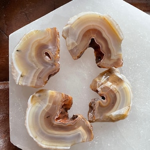 Malawi agate slices