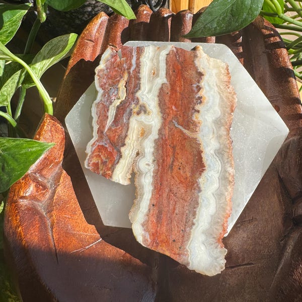Mexican Crazy Lace Agate Slab • Polished Collector Stone • Banded Red and Cream Agate • Lapidary Rough for Cabbing or Display
