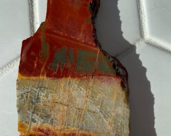 Cherry Creek Jasper Slab – Raw Lapidary Slab for Cabochons, Display