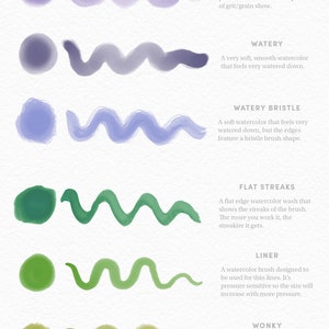 May include: Six watercolor brush stroke samples showing different watercolor effects. The effects are: Watery Grit, Watery, Watery Bristle, Flat Streaks, Liner, and Wonky.