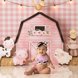 Farm Girl Outfit- Farm Girl Birthday Outfit