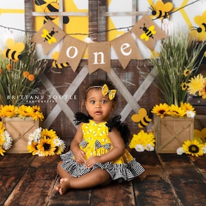 Bumble Bee Dress, Bee Photo Photo Props, 6-12 Sitter Photo Props