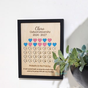 Cadre personnalisé pour compter les naissances (40 naissances). Cadeau pour sage-femme, étudiante sage-femme. Sage-femme en devenir.