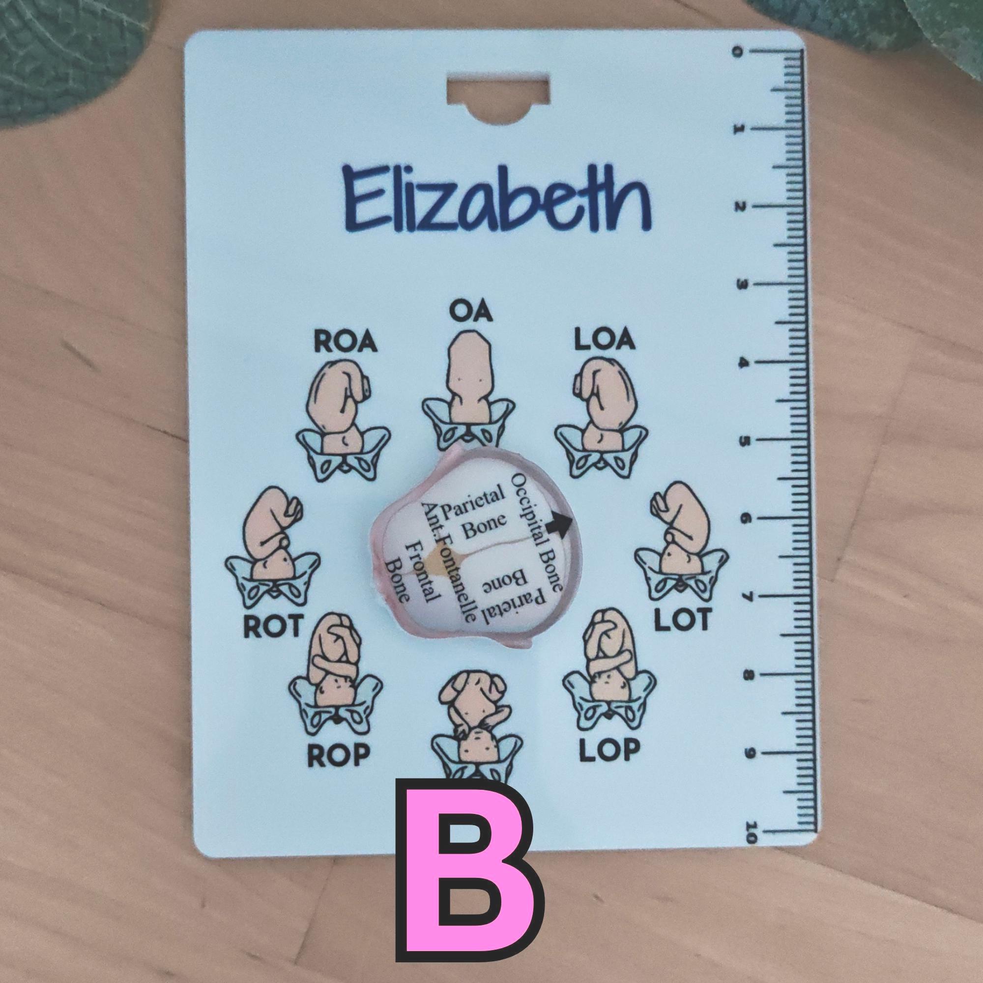 Personalised Fetal Position Guide With Cervical Dilation Ruler ...
