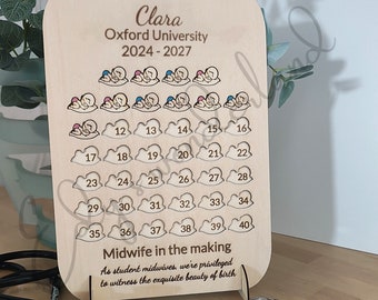 Personalised Birth Counting Board (40 Births ). Gift for midwife, midwifery student. Midwife in the making