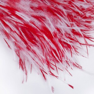 Real Ostrich Feather Satin Ribbon, Trimming Fringe 9-11cm, Decor, From ...