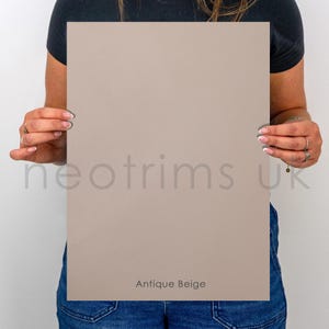 May include: A person is holding a large sheet of paper with a light beige color. The paper has the text "Antique Beige" printed on it.