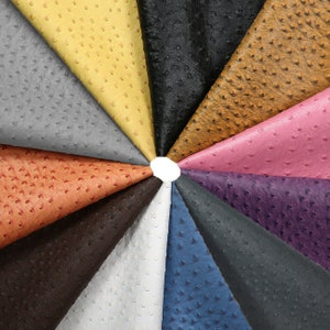 May include: A variety of 12 different colored ostrich leather swatches arranged in a circle. The swatches are all the same size and shape, and they are all made of a soft, supple leather.