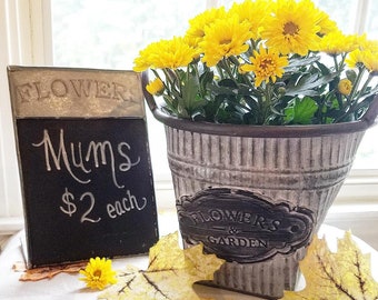 Flowers and Garden Oval Buckets, Decorative Buckets, Flower Pots