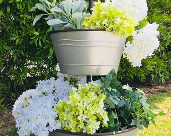 Hydrangea Stems