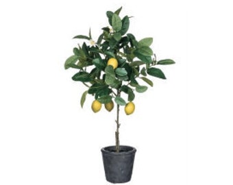 Lemon Tree