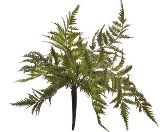 Fern Spray