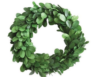 6" Round Preserved Boxwood Wreath