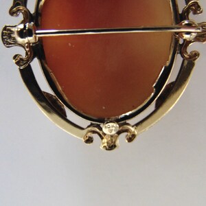 May include: A gold-toned cameo brooch with a red-brown cameo set in a detailed ornate frame. The back of the brooch has a hallmark that reads "10K".