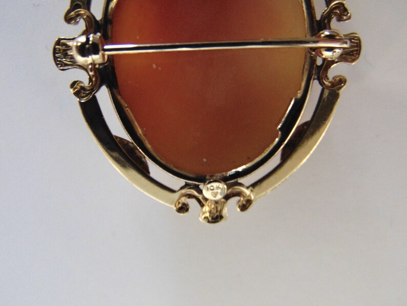 May include: A gold-toned cameo brooch with a red-brown cameo set in a detailed ornate frame. The back of the brooch has a hallmark that reads "10K".