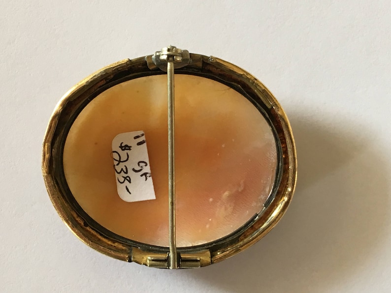 Christmas- Mothers Day- Valentines Day /& Birthday Gifts Business Luncheons Cruises Holidays 1800s Cameo Brooch Perfect For Weddings