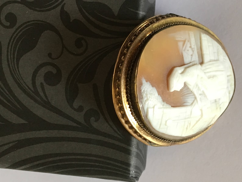 Christmas- Mothers Day- Valentines Day /& Birthday Gifts Business Luncheons Cruises Holidays 1800s Cameo Brooch Perfect For Weddings