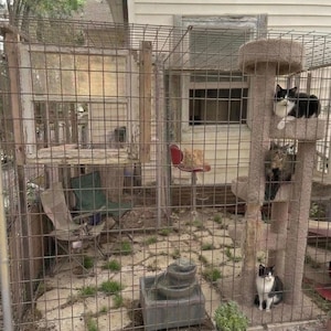 Guía de montaje de recinto exterior para gatos, fortaleza para catio de alta resistencia, corral para mascotas a prueba de depredadores.