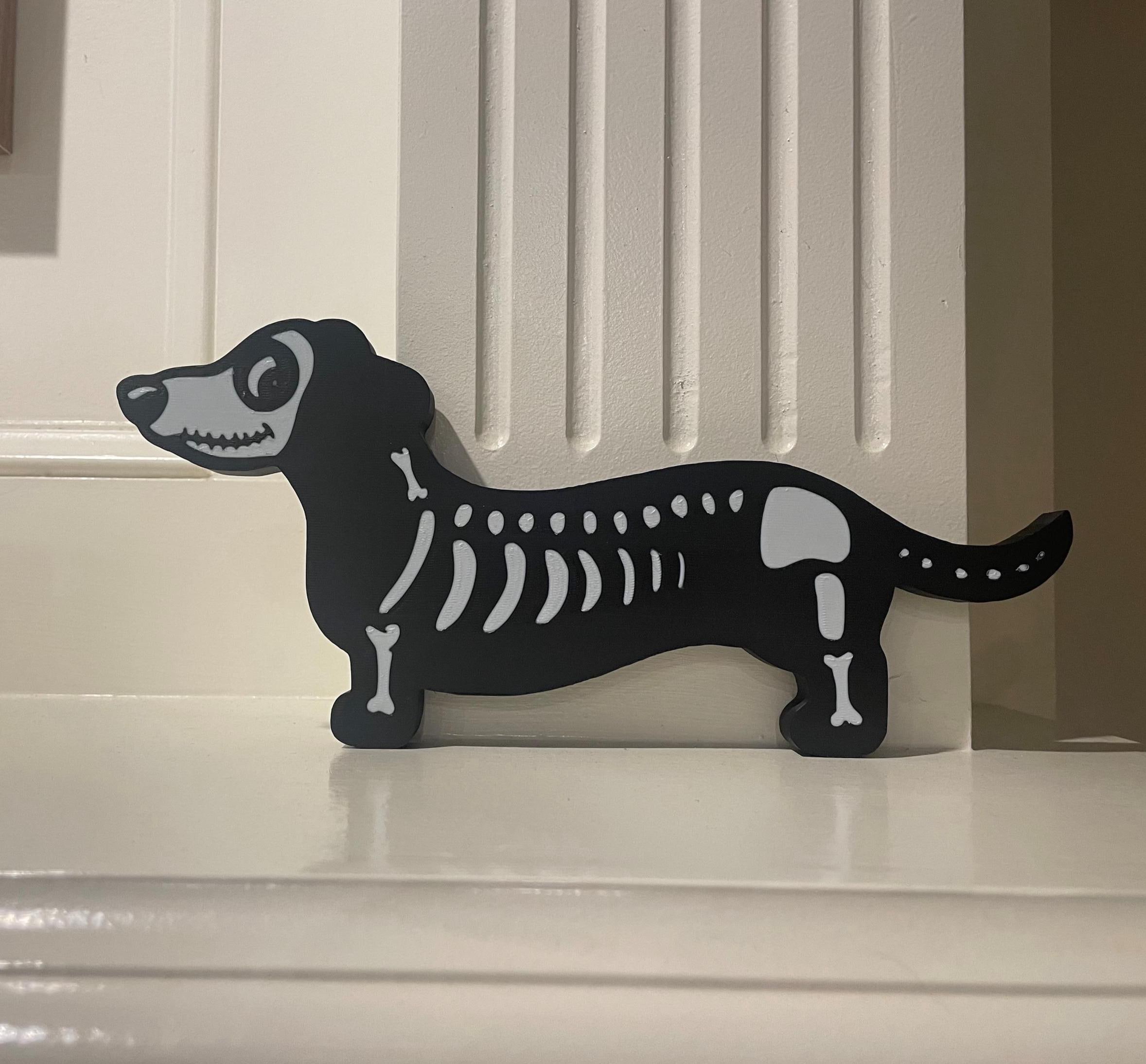 Skeleton Dachshund Canada