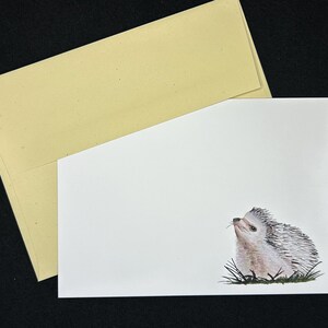 Cartão de nota de aquarela de ouriço, frete grátis