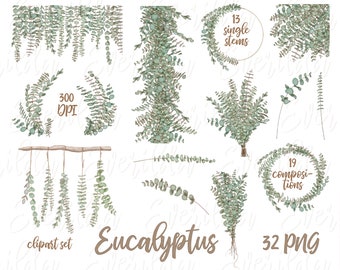 eucalyptus clipart set, hand drawn, greenery clipart, individual elements, printable sticker pack, digital clipart