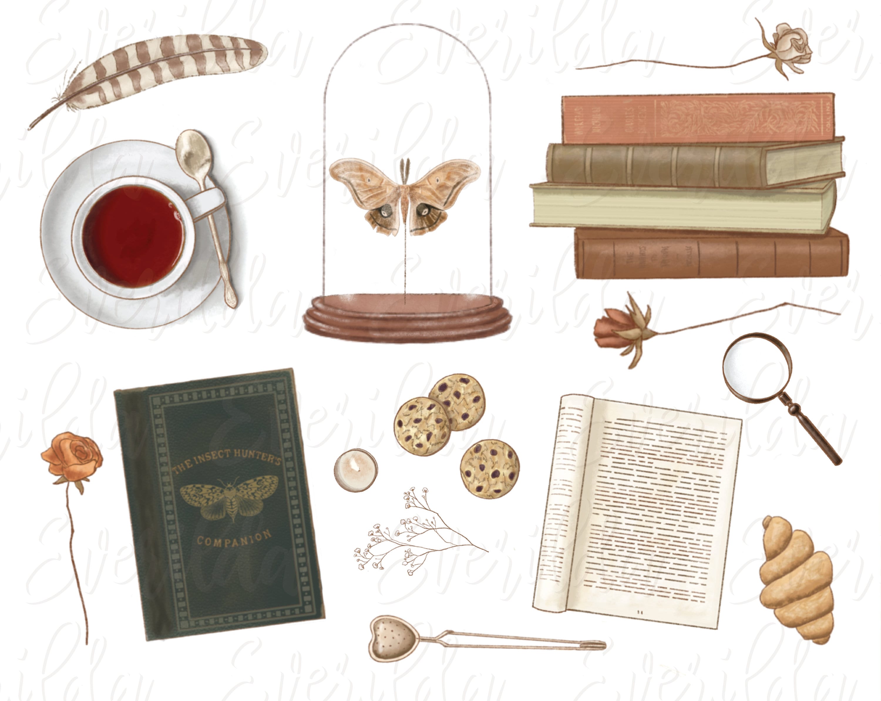 Book Aesthetic Clip Art, Dark Academia, Hand Drawn, Old Fashioned