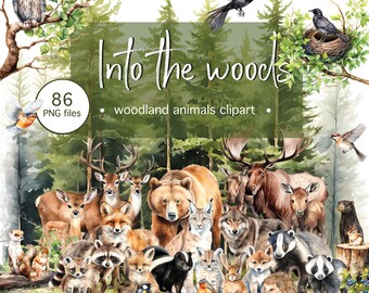 Watercolor woodland animals, forest elements peaceful landscape robin hedgehog skunk squirrel pine forest oak tree clipart, nursery woodland