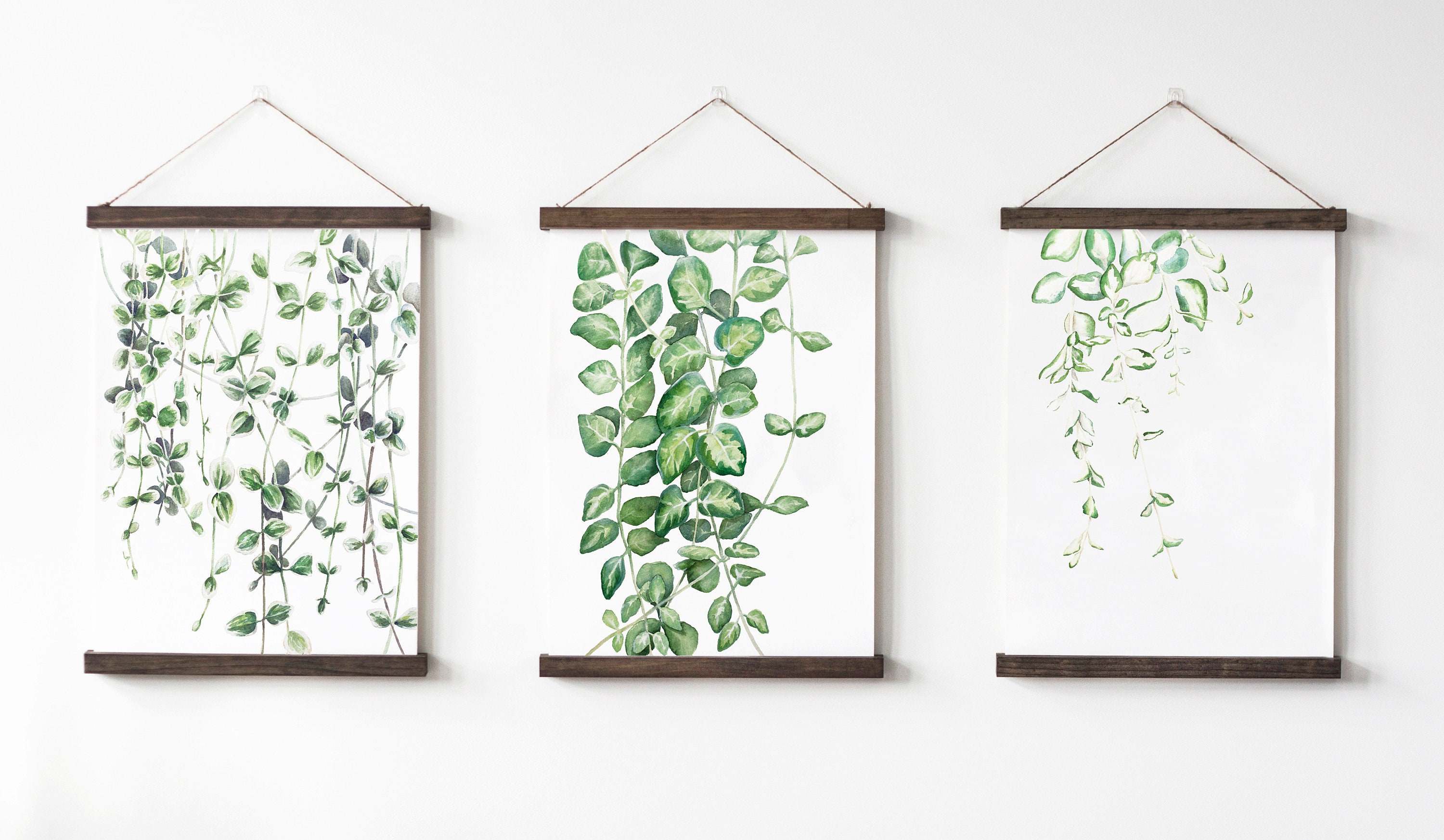 Vines Set of 3 Greenery Hanging Canvas Poster Botanical - Etsy