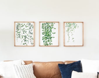 Vine Set of 3, Greenery Watercolor Print Set, Botanical Wall Art, Home Decor, Plant Painting